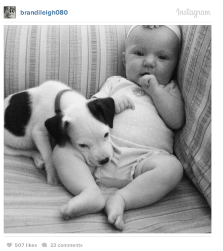 El Video Del Momento Adorable Bebe Y Su Cachorro Pitbull Preparadas Para Dormir Juntas La Siesta