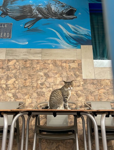 Escapadas Pueblos Pesqueros Bonitos Buen Tiempo Otoño Tradicionales