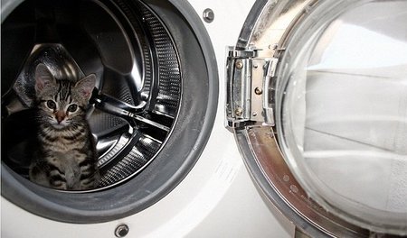 Adquiera electrodomésticos eficientes en consumo energético