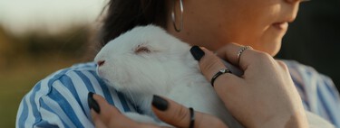 Sí, la nueva Ley de Bienestar Animal permite tener periquitos, hámsteres, conejos, hurones y más