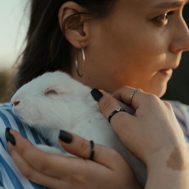 Sí, la nueva Ley de Bienestar Animal permite tener periquitos, hámsteres, conejos, hurones y más