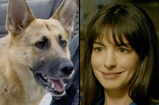 Anne Hathaway: "Siento que las películas donde matan perros deberían ser declaradas automáticamente no apta para niños"