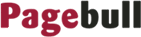 Pagebull, un buscador muy visual