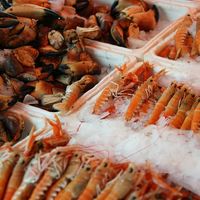 Cuándo introducir el marisco en la dieta infantil