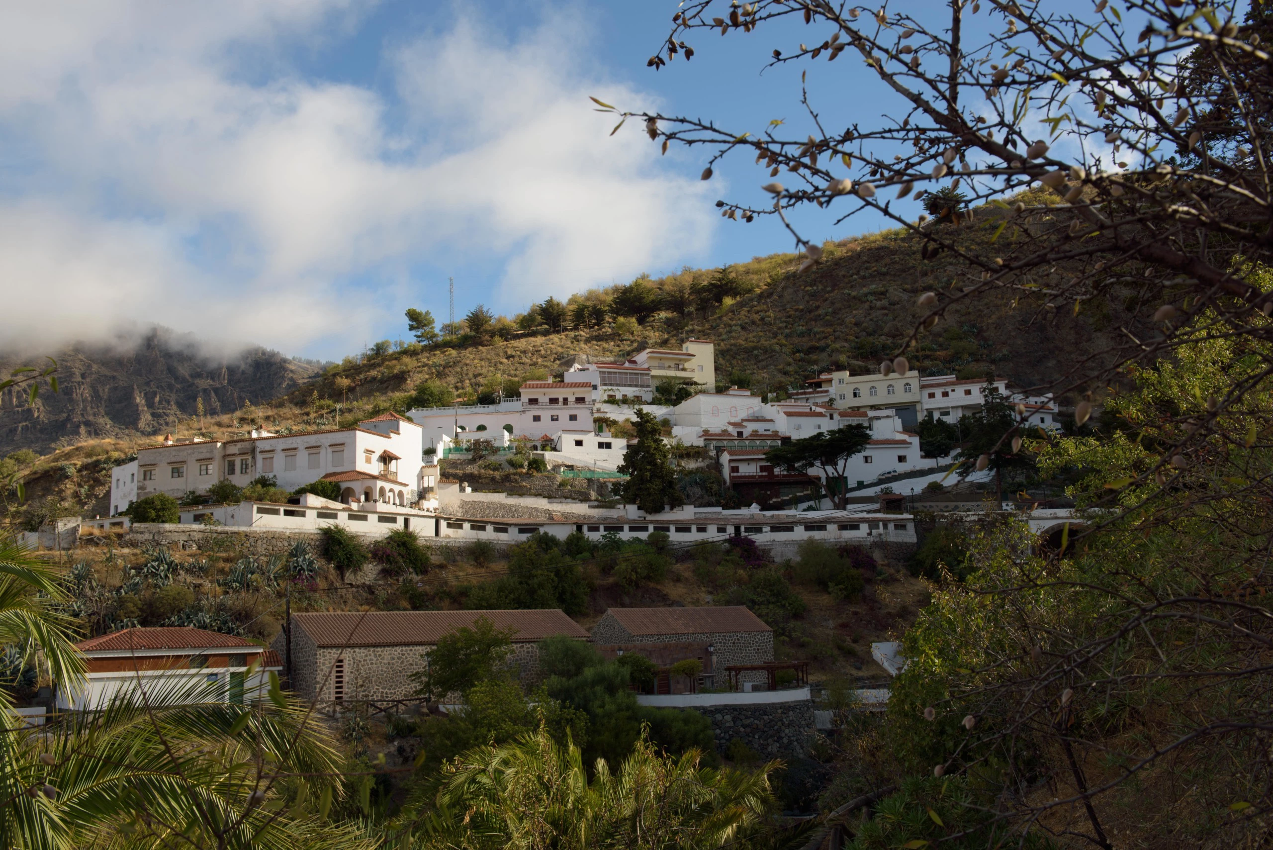 Foto de Análisis Nikon D810 (1/13)