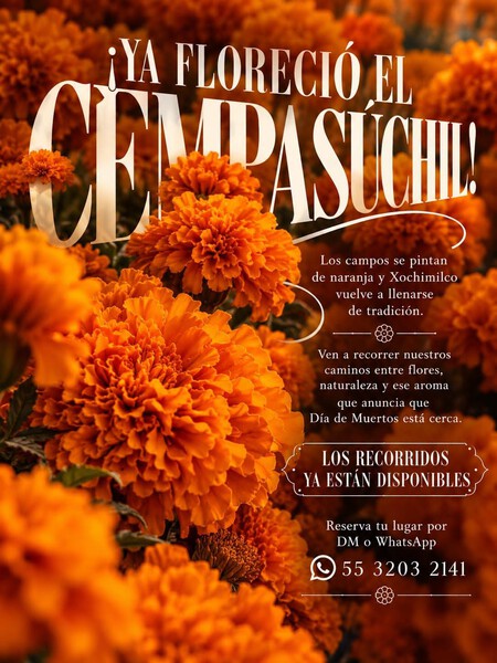 Así es la experiencia de Día de Muertos en Xochimilco: kayak entre cempasúchil, leyendas, pan de muerto y atole