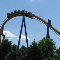 Si piensas que esperar una hora de cola para montarte en una montaña rusa de solo dos minutos no merece la pena, un experto tiene la respuesta