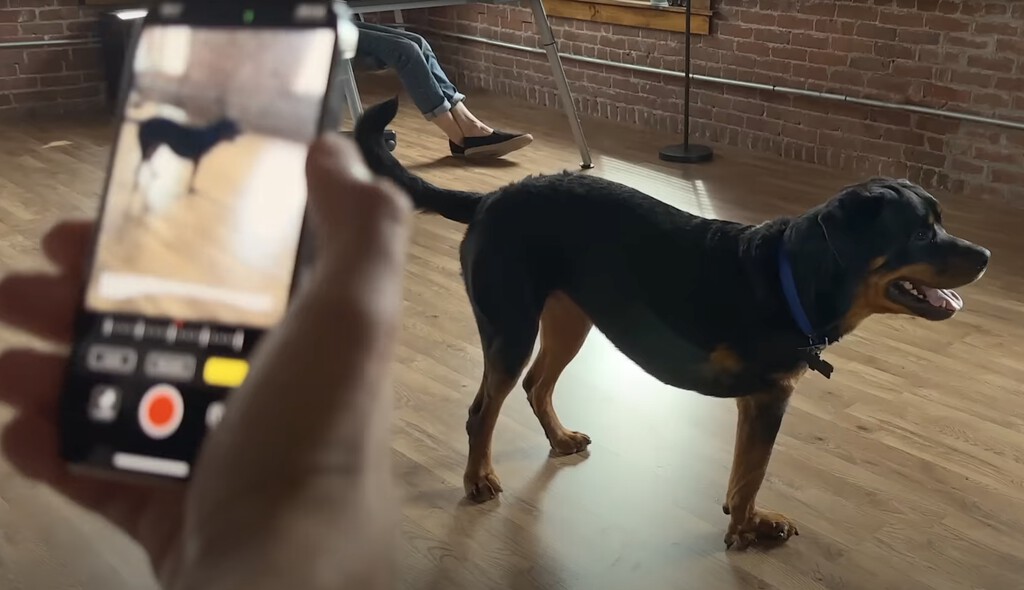 El iPhone salvó la vida de estos perritos: esta App que usa el sensor LiDAR le da una nueva oportunidad El iPhone salvó la vida de estos perritos: esta App que usa el sensor LiDAR le da una nueva oportunidad