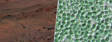 Em nossa obsessão com a terraformação de Marte, descobrimos duas bactérias: uma cria cimento, a outra o protege 