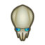Squid