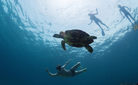 Tortugas Pullmantur