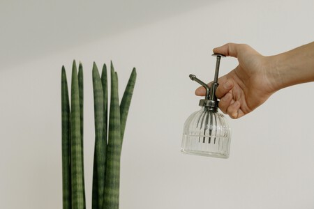 Pexels Cottonbro 9707060