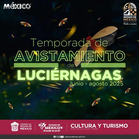 Cuál es el destino rodeado de bosque cerca de CDMX donde puedes ver luciérnagas: un Pueblo Mágico que permite hacer deportes de aventura