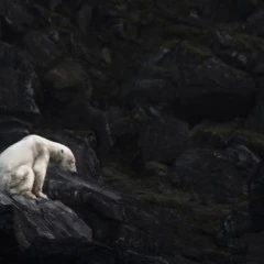 Foto 8 de 9 de la galería denuncia-ecologica en Xataka Foto