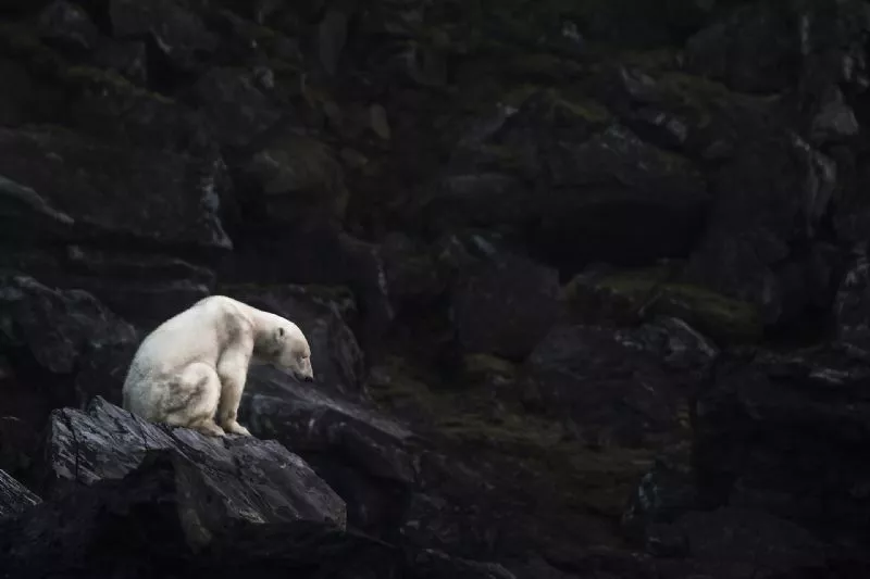 Foto de Denuncia ecológica (8/9)