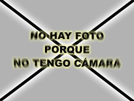 Profesionalización obligatoria para fotógrafos aficionados en Murcia