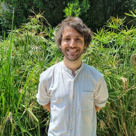 Guillaume Broche En Tamano Grande