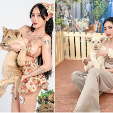 Los cachorros de león son las últimas víctimas del postureo en redes. Así se está explotando a estos animales salvajes en Tailandia