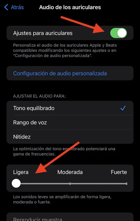Iphone Ios オーディオ アクセシビリティ 4