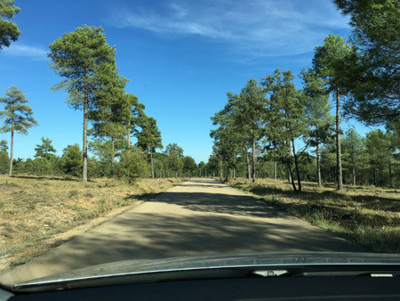 Camino De Las Torcas
