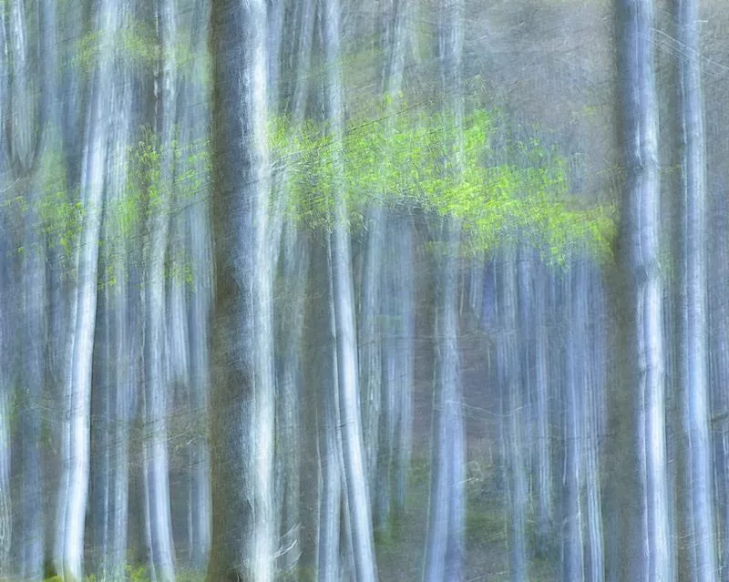 Arte en la naturaleza