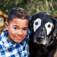 La bonita historia de un niño con vitiligo y un perro unidos por la misma enfermedad