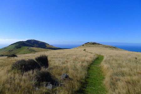 Un paseo por la Península de Banks. Descubriendo el pasado francés de Akaroa, en Nueva Zelanda