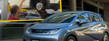 Brasileiro percorreu 200 mil km em seu BYD Dolphin em um ano e falou sobre desempenho do carro 