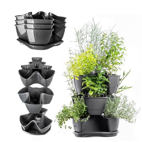 KADAX Torre de plantación