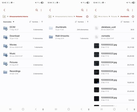 Cómo llegar a los archivos borrados