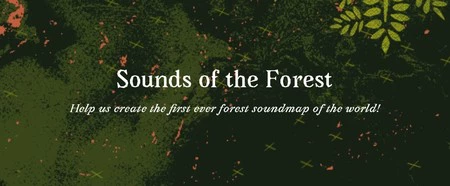 Window And Sounds Of The Forest 投稿作品 木材フェスティバル 2 3 4 2021 年 7 月