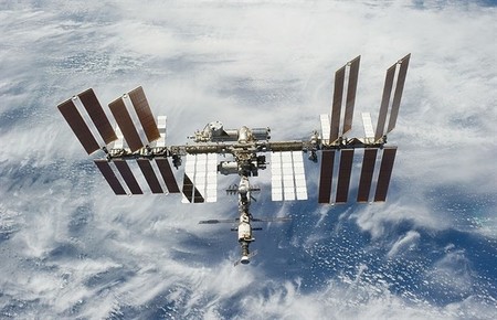 Se estudian en la Tierra bacterias que vivieron en el espacio