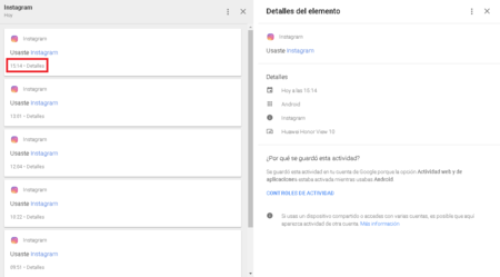 Google Mi Actividad Detalles