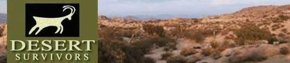 Consejos para sobrevivir en el desierto