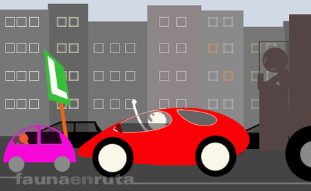 fauna en ruta: conductor novel