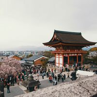 En Japón el turismo se ha convertido en un problema. Así que han tenido una idea: regalar vuelos a los extranjeros