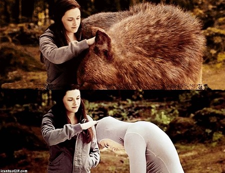 Lobo Crepusculo