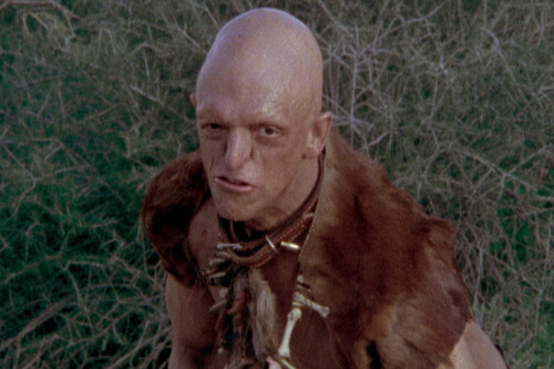 Wes Craven nos presentó un terrorífico clan caníbal que hacía pasar un infierno a los que se acercaban. Esta basada en una leyenda con siglos de historia