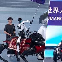 En China, los robots humanoides ya montan a caballo. Lo curioso es que el caballo también es un robot