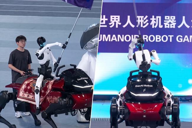 Robot caballo china