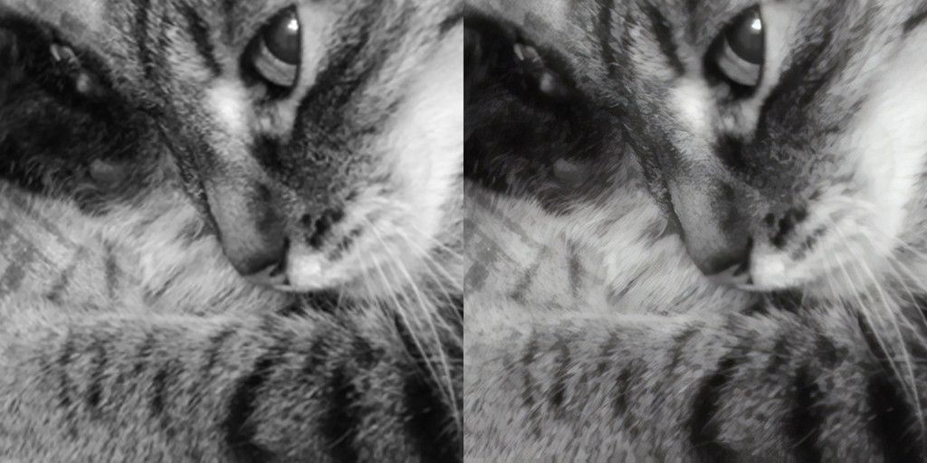 Comparacion Ampliacion Gato Tumbado