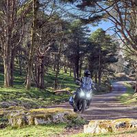 El Kymco DTX ya tiene precio: el sustituto del Super Dink llega por 4.699 euros para el 125 y 5.599 euros para el 350