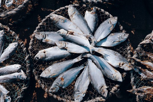 Pescados
