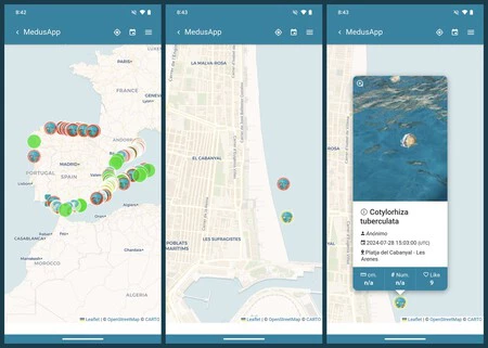 MedusApp マップがどのように機能するかを示すスクリーンショット