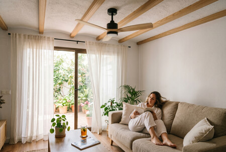 Ventilador