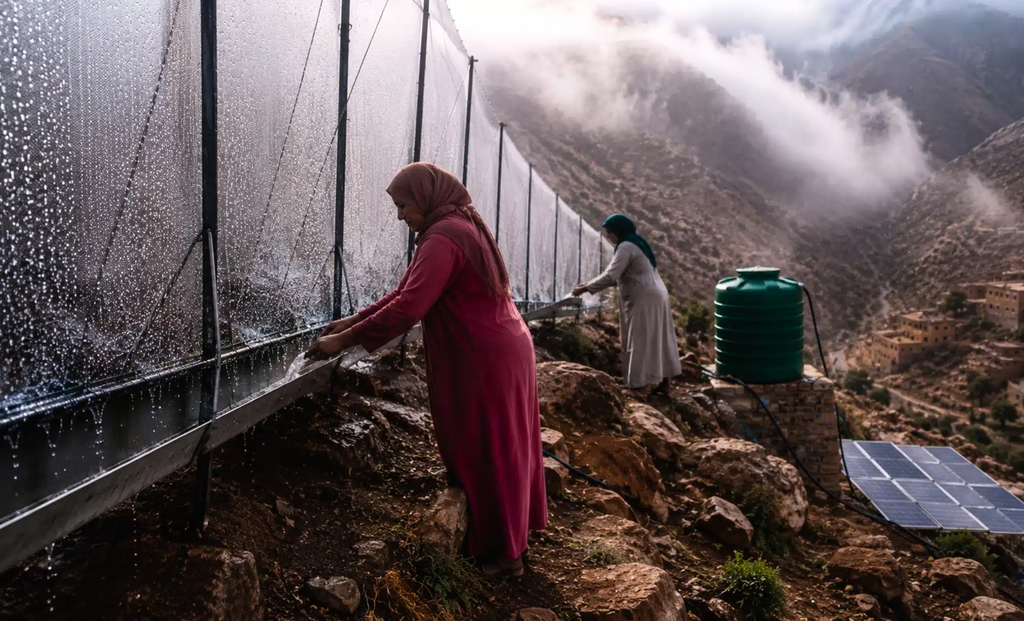 Mientras los pueblos se secan y el desierto avanza, las mujeres en Marruecos escalan las montañas para capturar la niebla y convertirla en agua potable