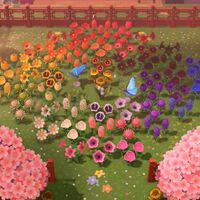 Guía de flores híbridas y todas sus combinaciones en Animal Crossing New Horizons