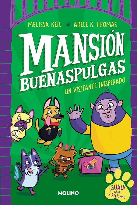 libros para el verano
