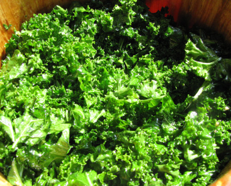 El kale, un alimento que lo tiene todo