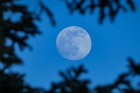 Luna Azul 2024: por qué se llama así y todo lo que hay que saber de la luna llena que se verá en agosto en México